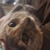 kittiez (@lilkittiez) Twitter profile photo kittiez (@lilkittiez) Twitter profile photo