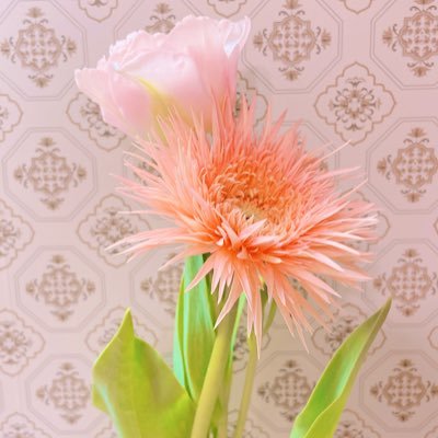 昭和生まれの関西人。モラとR4.8離婚調停成立👏🏻過去現在のモラ愚痴多め🫧愛しい娘と二人暮らし。調停終わってもモラ健在、弁護士&面会で利用してるNPOの理事と対応中。モラ共は撲滅してくれ、私と娘の人生に関わらないでくれ。
