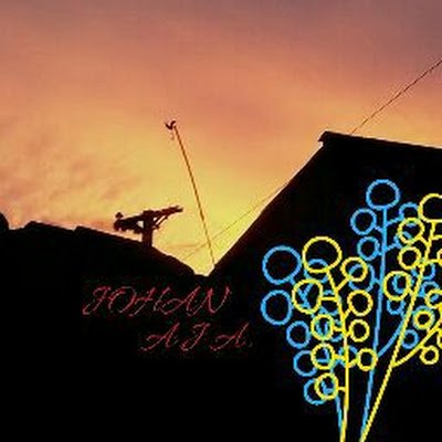 JohanAJ73317482's profile picture. 