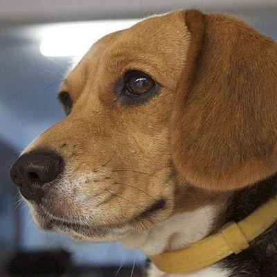 Korbee_CNX's profile picture. 