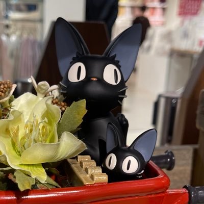 ネコパンチ(꜆꜄•ω•)꜆꜄꜆さんのプロフィール画像