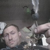 Steven Weeks (@stevengweeks86) 's Twitter Profile
