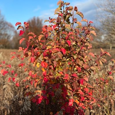 kk211314's profile picture. 🇺🇸情侣