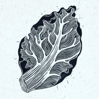 Ireland's Seed Sovereignty (@irelandseedsov) 's Twitter Profile