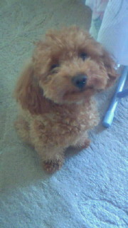 miwawawawawawa's profile picture. 中大土木設計研、横浜市立金沢高校でピンときたあなた………。そうです。俺です。フォローして〜。