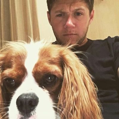 PERDON SOLO VIVO POR NIALL E ITZY