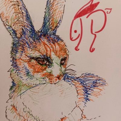 05 こはら民 CLANQUEEN muque Chevon people1 ポルカドットスティングレイ いきなりフォロー大歓迎!