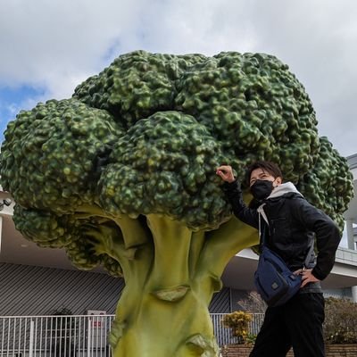 OSHINSHIN (@Shinkisato) / X
