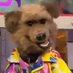 KingMo (@deebobstar) Twitter profile photo KingMo (@deebobstar) Twitter profile photo