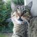 Paola STV (@paolabest64) Twitter profile photo Paola STV (@paolabest64) Twitter profile photo