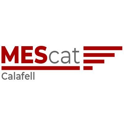 CalafellMes's profile picture. @MovEsquerresCat
#SocialistesSobiranistes
#SocialistesPerLaRepública
