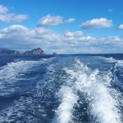 n4kocRFizsgpUek's profile picture. 大分在住ですが
出張でいろんな県にお邪魔して
釣れる魚は何でも釣っちゃいます笑

CLUB花釣風月‼️