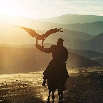 BugtiTimes's profile picture. 