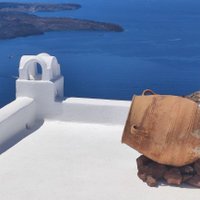 Ray (@elis_sweetjane) 's Twitter Profile Photo