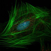 World of Nanoscience (@wnanoscience) Twitter profile photo