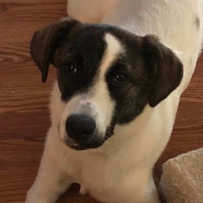 Nascar70006's profile picture. 