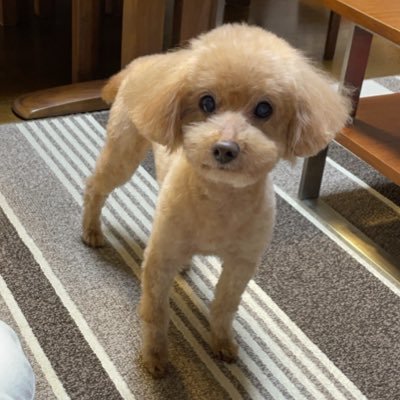 坂本朗さんのプロフィール画像