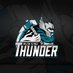 MK Thunder IHC (@WeAreMKThunder) Twitter profile photo