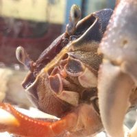 Paisen (@spaisenman) 's Twitter Profile Photo