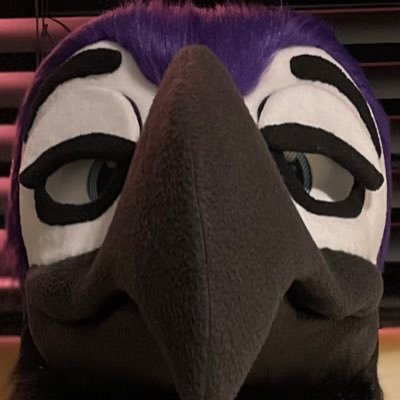 Just a bird dude - Embedded software engineer, fursuit maker & gym enthousiast