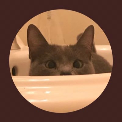 Blue dot in a blue city in a red state. Mainly post politics, Chiefs or cute videos. Returned to Twitter in 2020 for the politics, stayed for the snark. 🌊🐈‍⬛