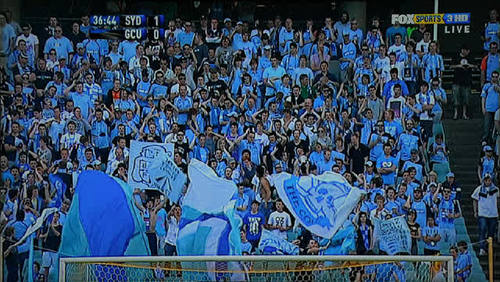 SFCNews's profile picture. Unofficial and completely biassed News, Info, Updates & Photos about Sydney FC