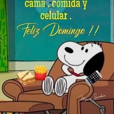 omar_arocha13's profile picture. transformando ideas