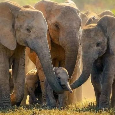 a904bb1459e84fc's profile picture. Bendecida por el de arriba