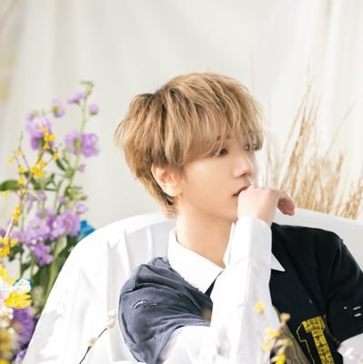 시낭さんのプロフィール画像