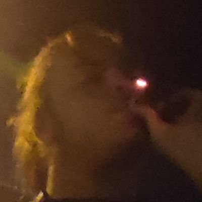 palmeirim_acab's profile picture. 