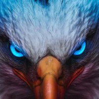 SniperNFT (@0xsnipernft) 's Twitter Profile