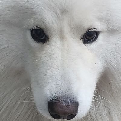 fhft38's profile picture. 