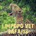 Limpopo Vet Safaris (@limpopovetsaf) Twitter profile photo Limpopo Vet Safaris (@limpopovetsaf) Twitter profile photo