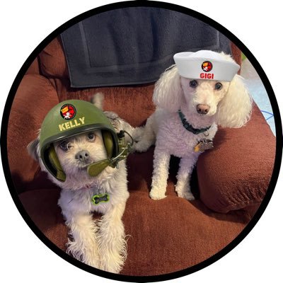 Mandy OTRB; #ZSHQ,#zshq, #zombiesquadHQ; #TheRuffRiderz; minipoodle and Shih Tzu, guinea pigs; Penguins; beading, dots, crafts,weird humor; No DMs.