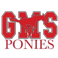 GMS Stem Academy (@gmsstem) 's Twitter Profile