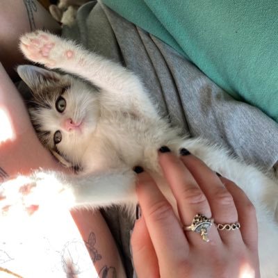 LizzieAnn2211's profile picture. 