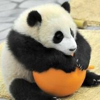 ゆーすけ (@tale_y) 's Twitter Profile