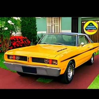 Dirceuluiskiko's profile picture. 