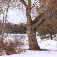 Edmonton River Valley Conservation Coalition (@ervcccom) 's Twitter Profile Photo Edmonton River Valley Conservation Coalition (@ervcccom) 's Twitter Profile Photo