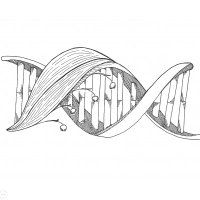 Jan Konvalinka Lab (@konvalinka_lab) 's Twitter Profile