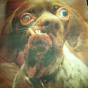 Tommy Horner - @TommyGunz14 - Twitter