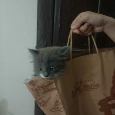 brve54's profile picture. S1 TEKNIK SIPIL | https://t.co/IRm5EuanCh