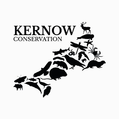 Working with other conservation organisations, local businesses and landowners to benefit the communities and wildlife of Cornwall.