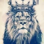 فحل مصري راقي بلبنان🇱🇧 (@kingtweet2023) Twitter profile photo