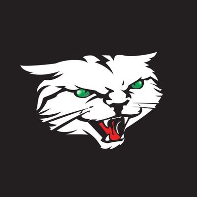 indyalleycats Profile Picture