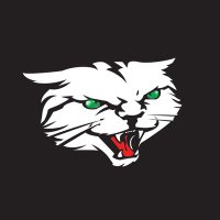 Indy AlleyCats(@indyalleycats) 's Twitter Profile Photo