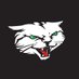 Indy AlleyCats (@indyalleycats) Twitter profile photo