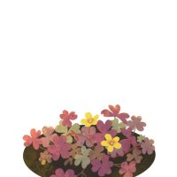 ゆってり (@yutteri) 's Twitter Profile