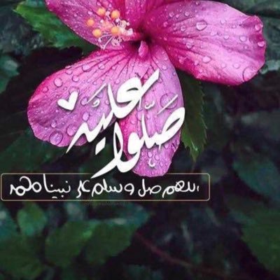 NooraAlhosani_i's profile picture. 