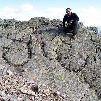 Miguel Méndez-Cabeza (@talaveranator) 's Twitter Profile Photo